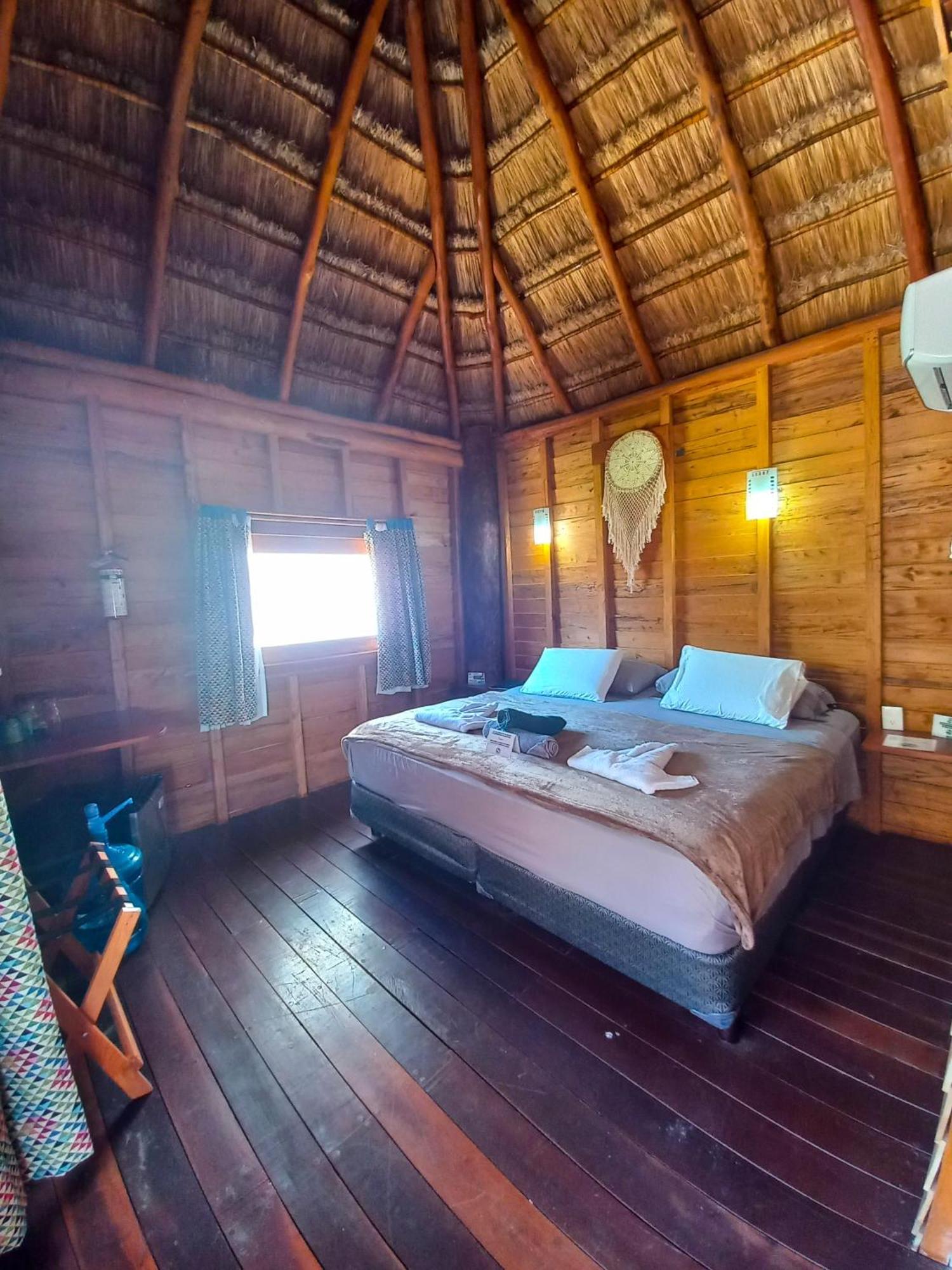 Palmeras De Lodge *